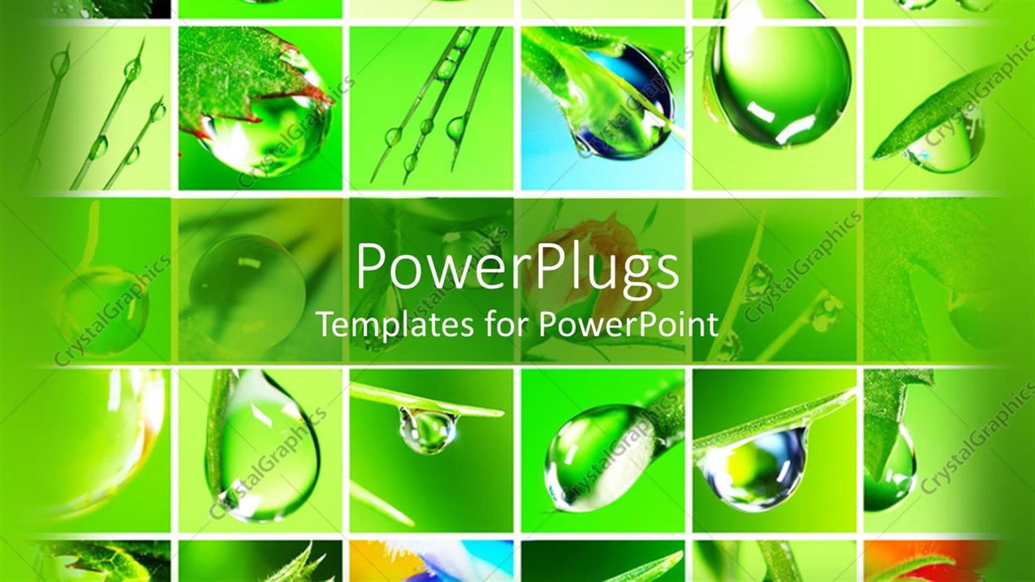 Premium Template for PowerPoint & Google Slides 