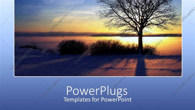  Presentation with tree - Collage of winter sunset over sea and withered tree on blue background