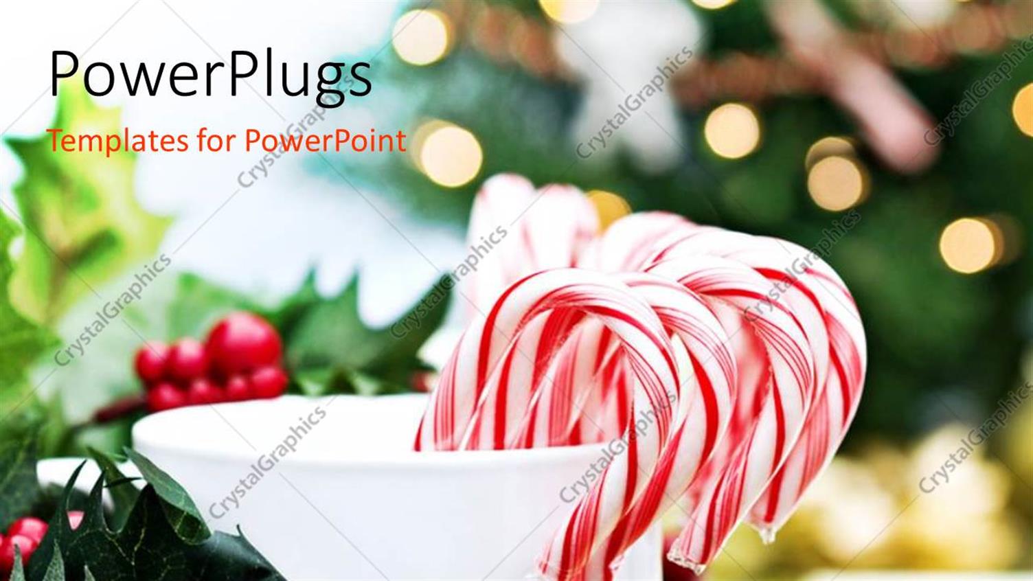 Premium Template for PowerPoint & Google Slides 