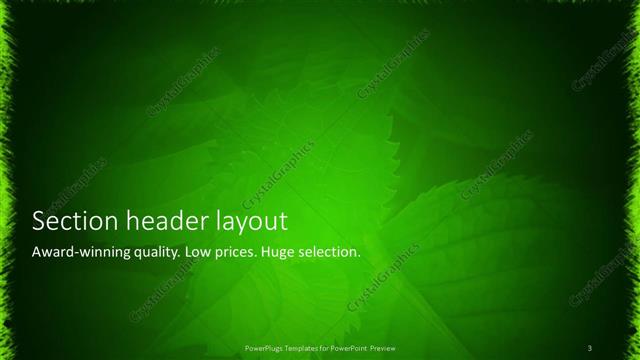 Section Header presentation slide layout