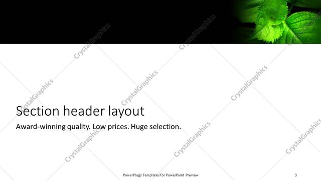 Section Header presentation slide layout