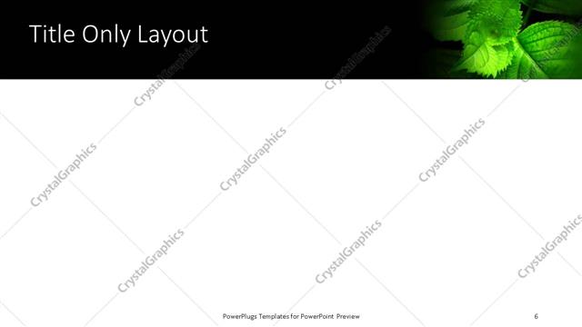 Title Only presentation slide layout