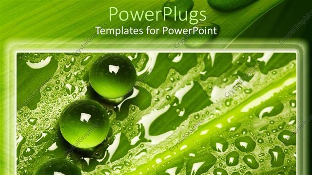  Presentation with water drops - A collection of green leaves and water drops on top of them
