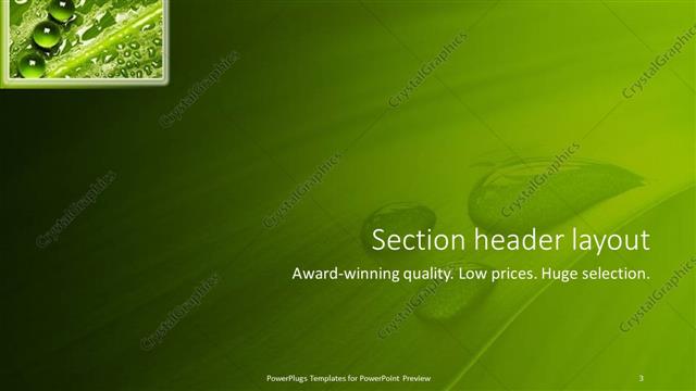 Section Header presentation slide layout