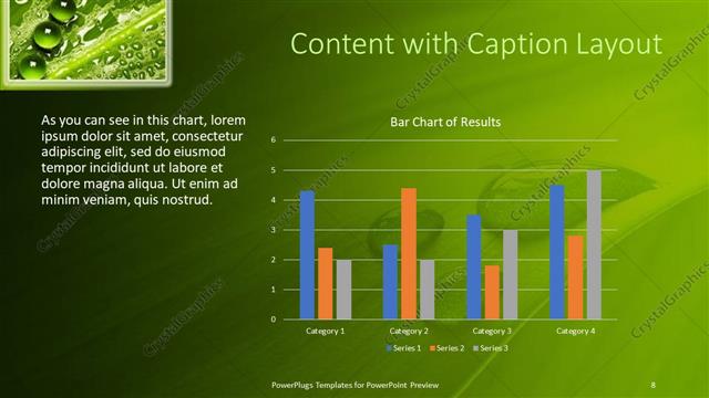 Content with Caption presentation slide layout