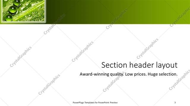 Section Header presentation slide layout