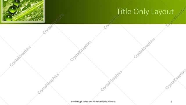 Title Only presentation slide layout