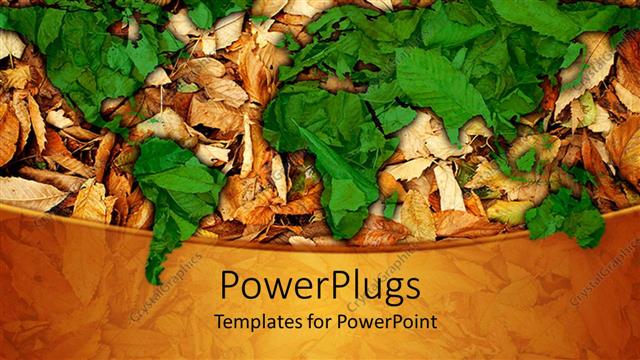  Presentation with autumn leaves - A collection of leaves with their reflection in the background