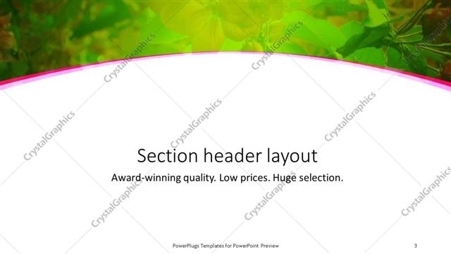 Section Header presentation slide layout