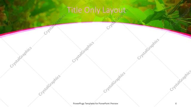 Title Only presentation slide layout