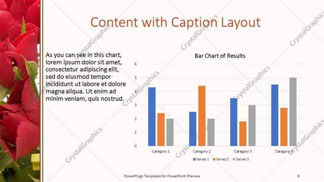 Content with Caption presentation slide layout