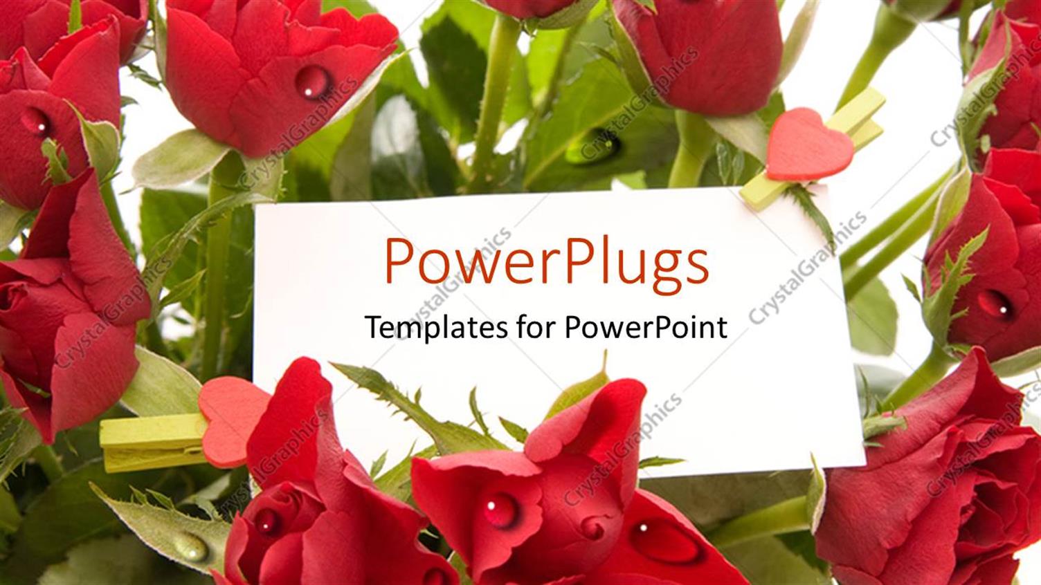 Premium Template for PowerPoint & Google Slides 