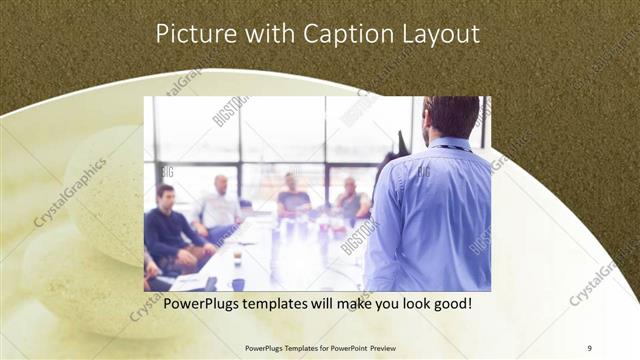 Picture with Caption presentation slide layout