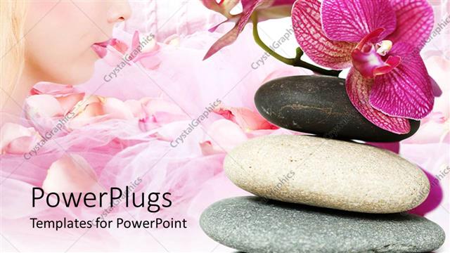  Presentation with zen - A collection of zen stones and flower petals