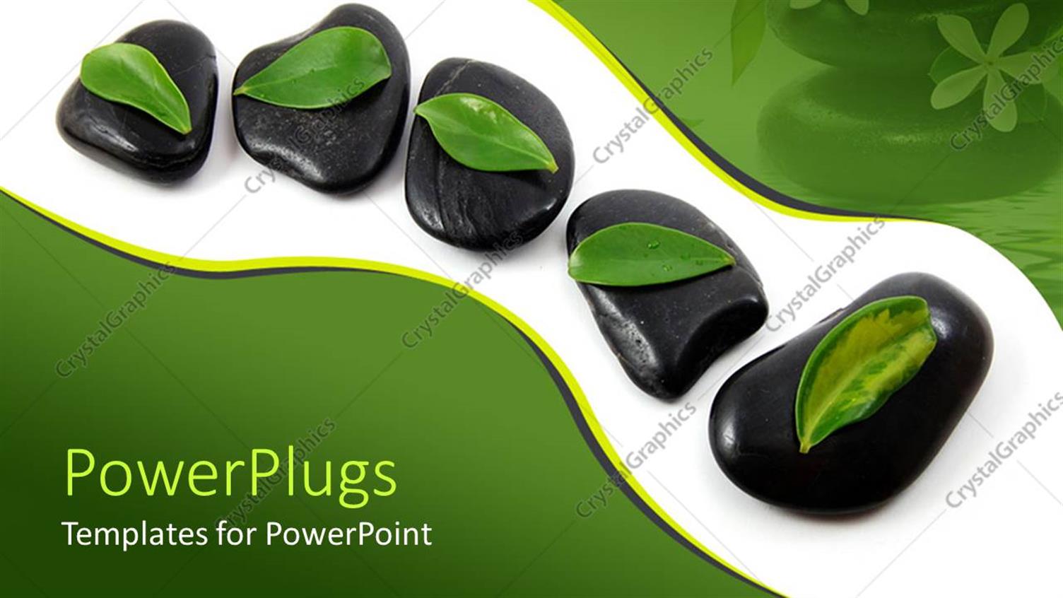 Featuring a Collection Zen Stones with Leaves on them and their Reflection in the Background