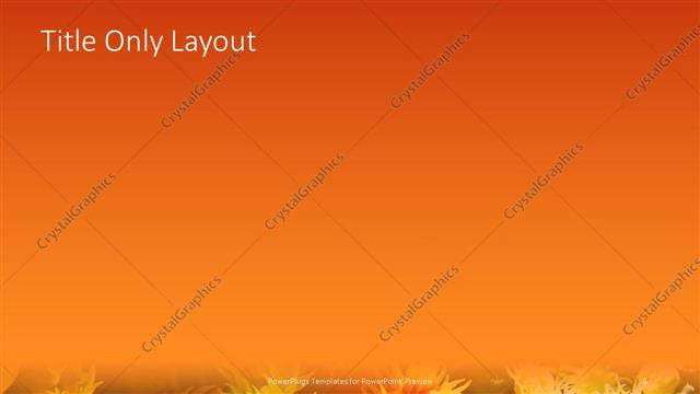 Title Only presentation slide layout