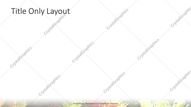 Title Only presentation slide layout