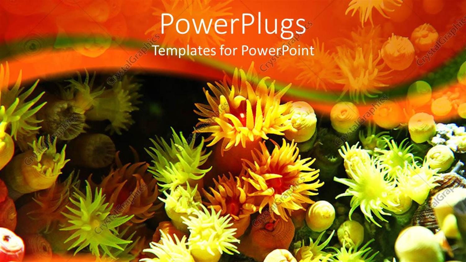 Premium Template for PowerPoint & Google Slides 