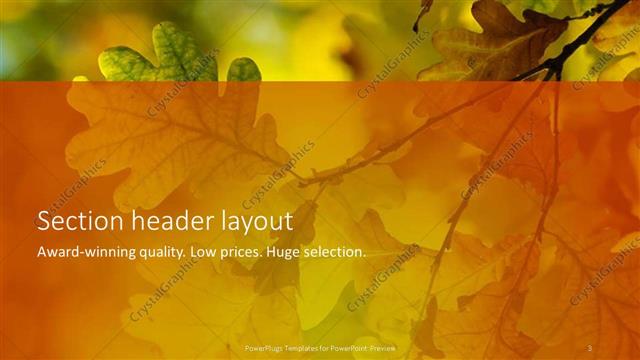 Section Header presentation slide layout