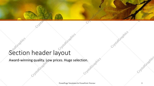Section Header presentation slide layout