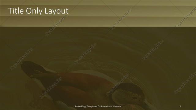 Title Only presentation slide layout