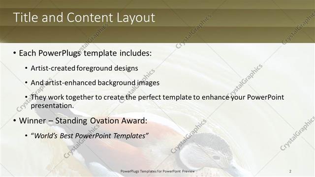 Title and Content presentation slide layout