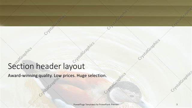 Section Header presentation slide layout