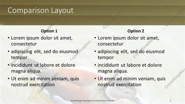 Comparison presentation slide layout