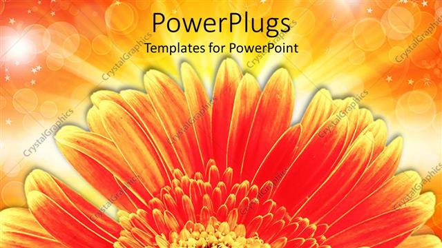  Presentation with colorful flower - A colorful flower with orange background