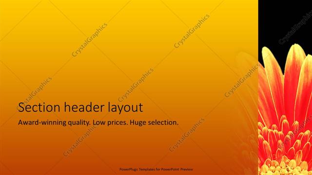 Section Header presentation slide layout
