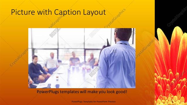Picture with Caption presentation slide layout