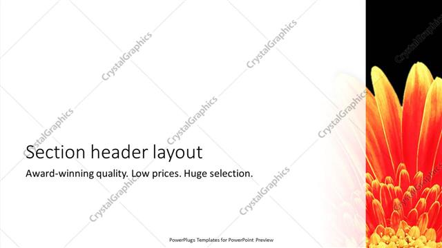 Section Header presentation slide layout