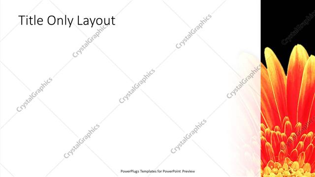 Title Only presentation slide layout