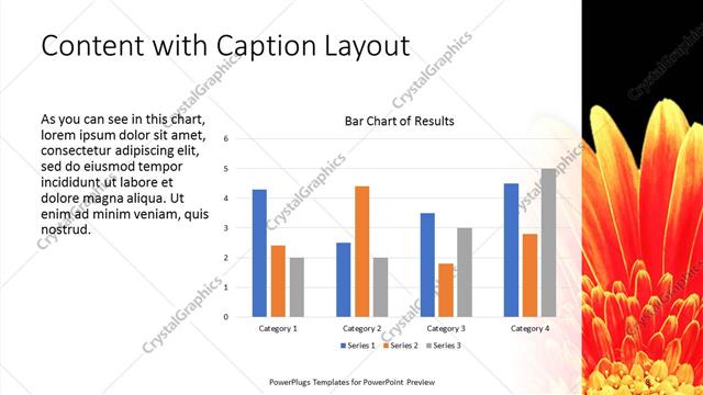 Content with Caption presentation slide layout