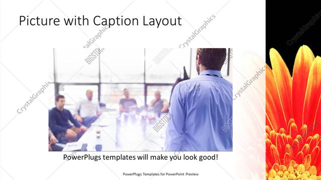 Picture with Caption presentation slide layout