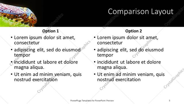Comparison presentation slide layout