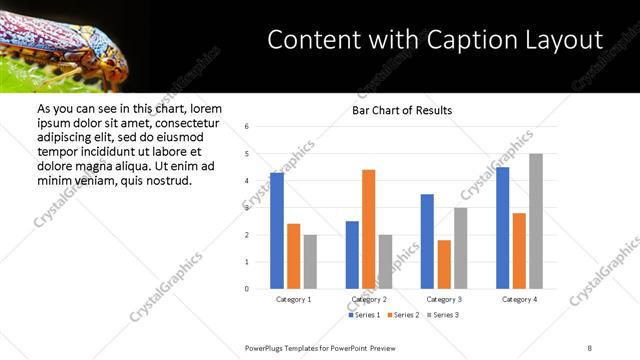 Content with Caption presentation slide layout