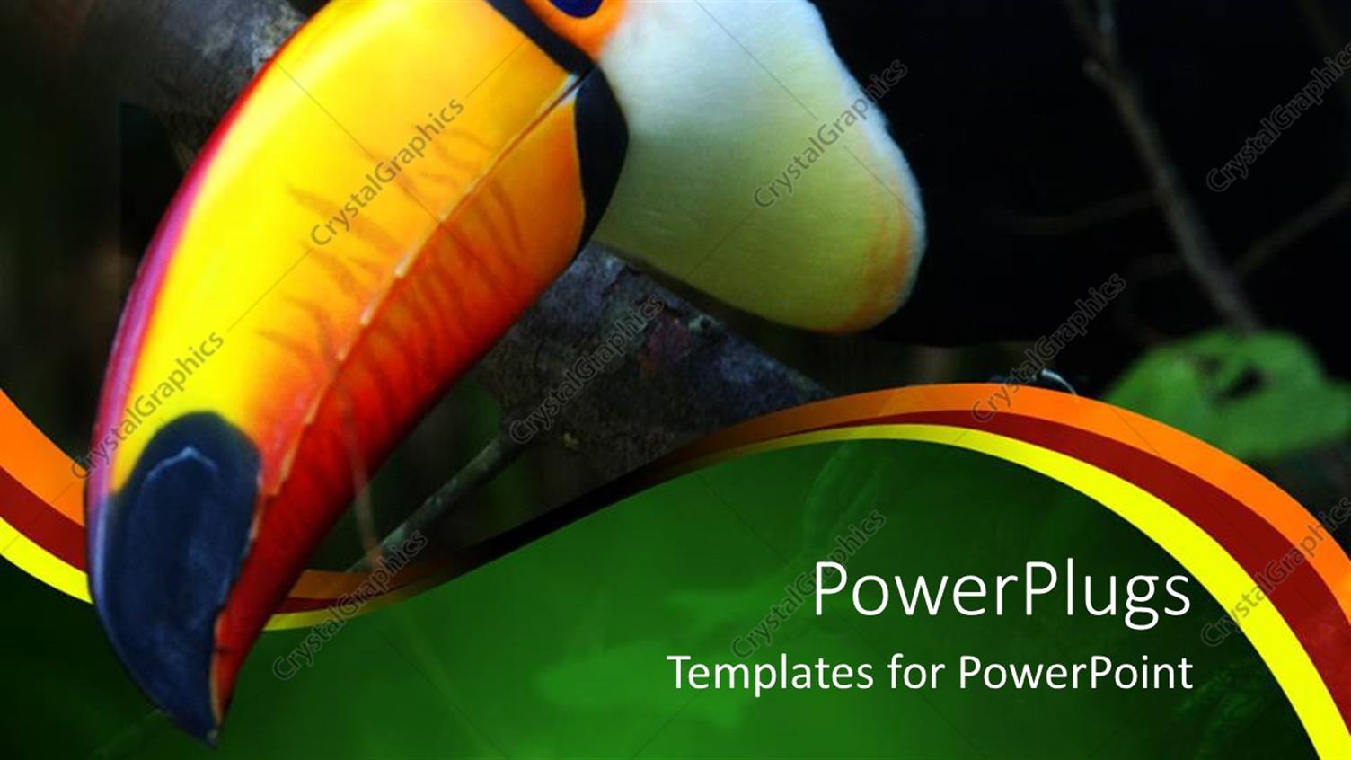 Premium Template for PowerPoint & Google Slides 