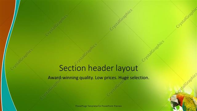 Section Header presentation slide layout