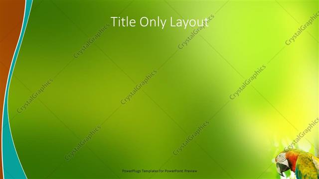 Title Only presentation slide layout