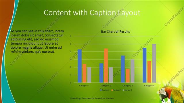 Content with Caption presentation slide layout