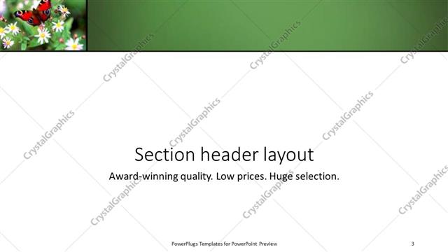 Section Header presentation slide layout