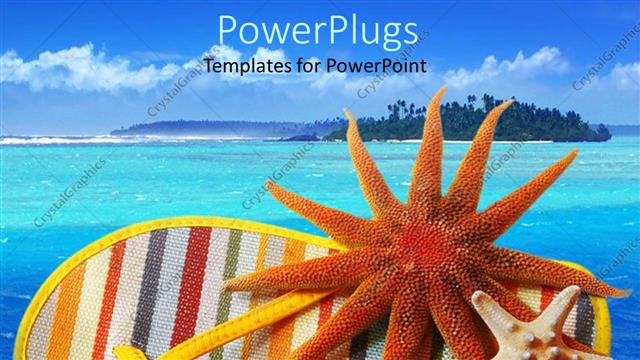  Presentation with fish beach - A colorful shoe and a star and jelly fish