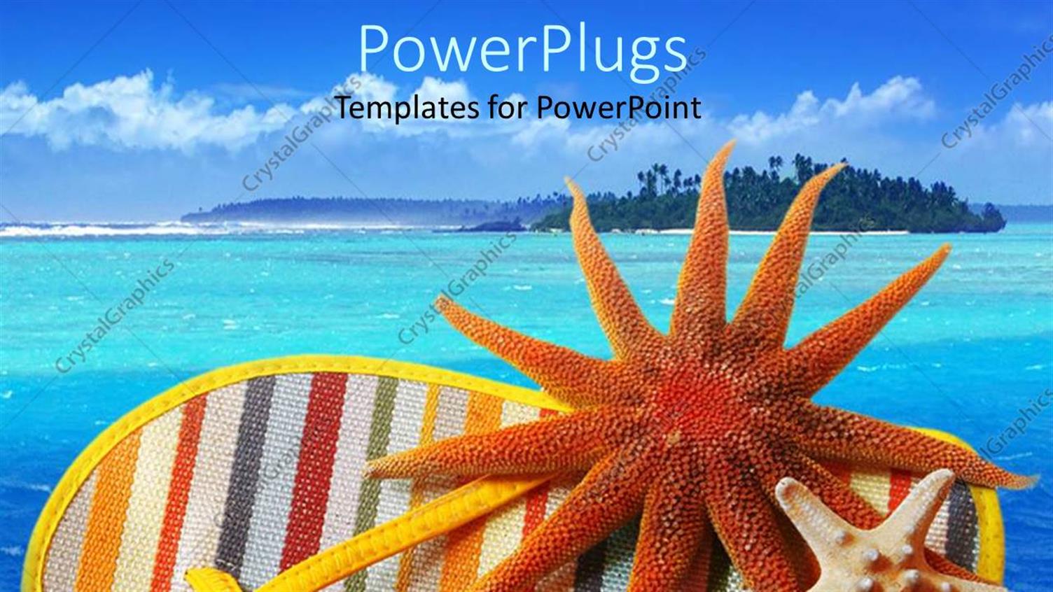 Featuring a Colorful Shoe and a Star and Jelly Fish