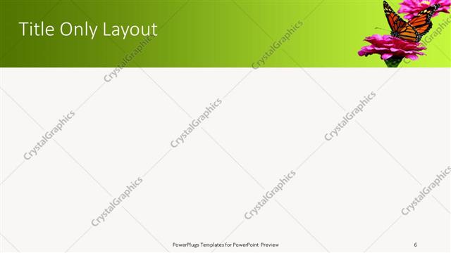 Title Only presentation slide layout