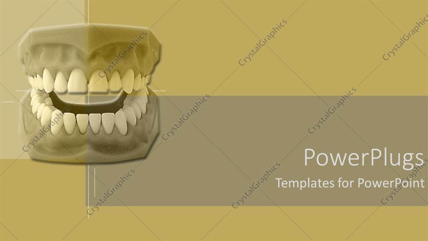 Premium Template for PowerPoint & Google Slides 