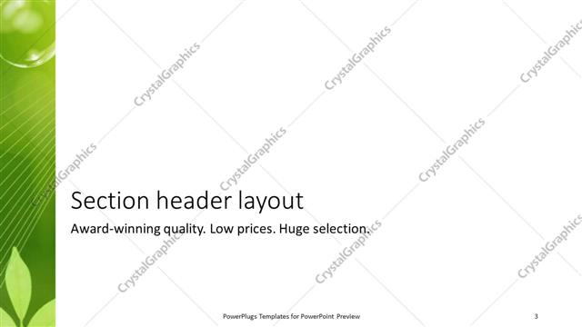 Section Header presentation slide layout