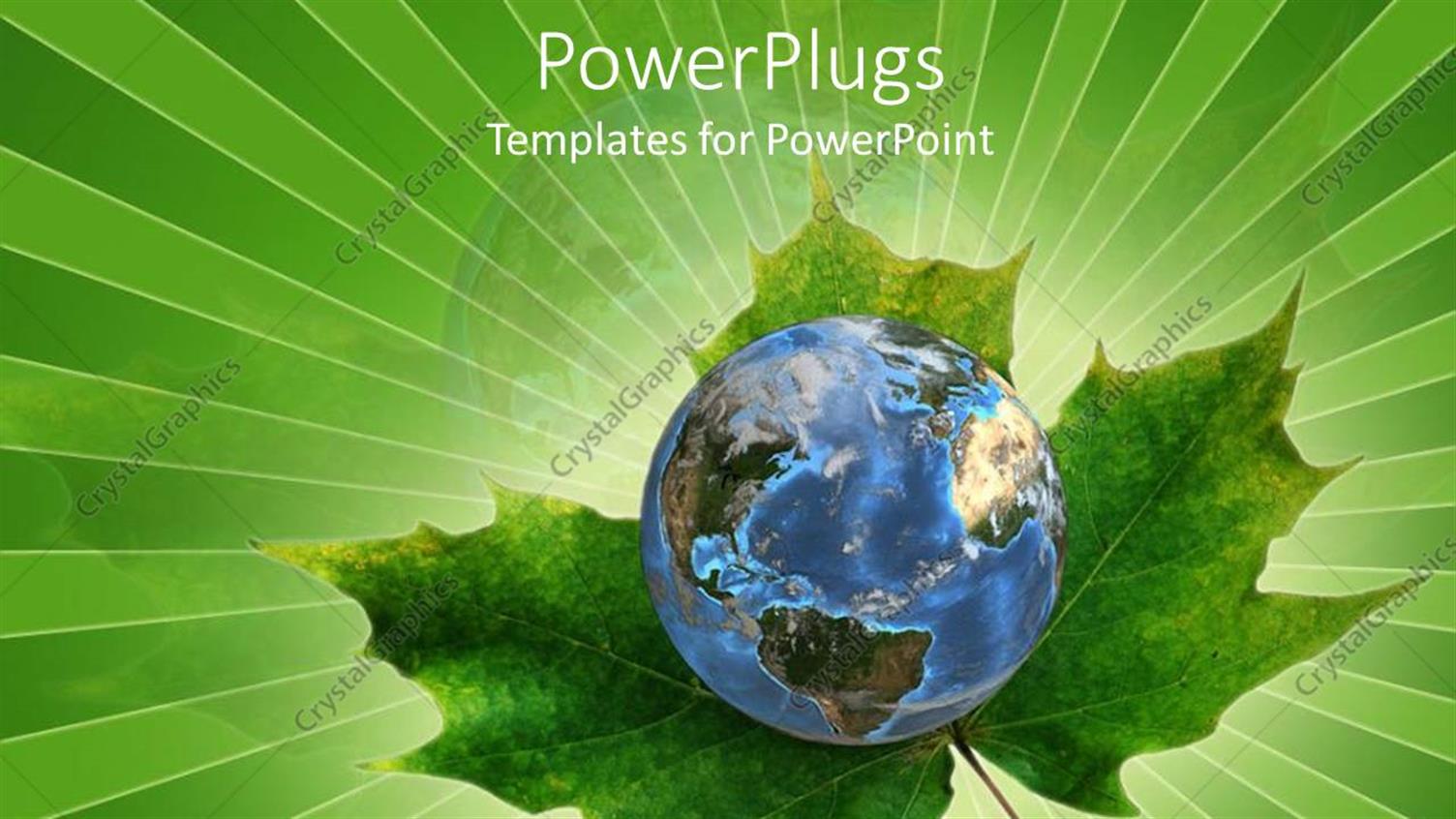 Premium Template for PowerPoint & Google Slides 