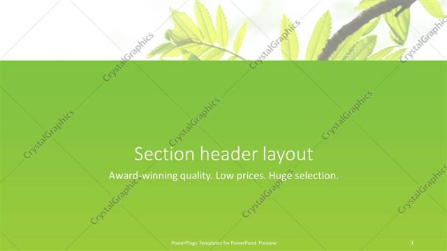 Section Header presentation slide layout