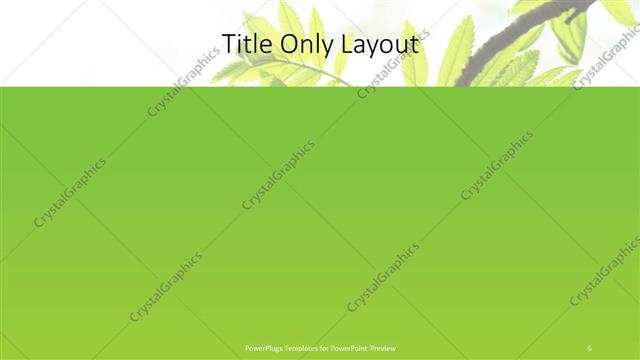 Title Only presentation slide layout